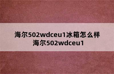 海尔502wdceu1冰箱怎么样 海尔502wdceu1